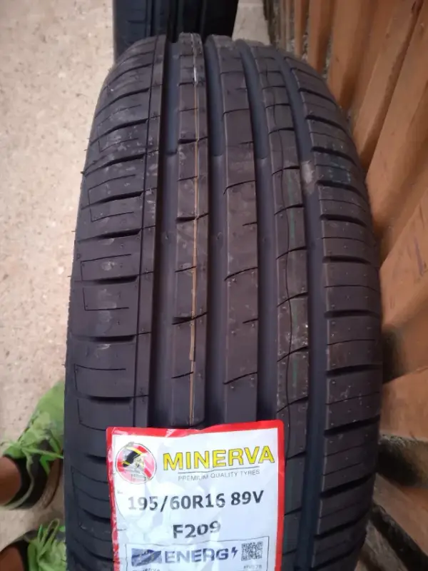 Minerva F209 · 195/60 R16 · x1